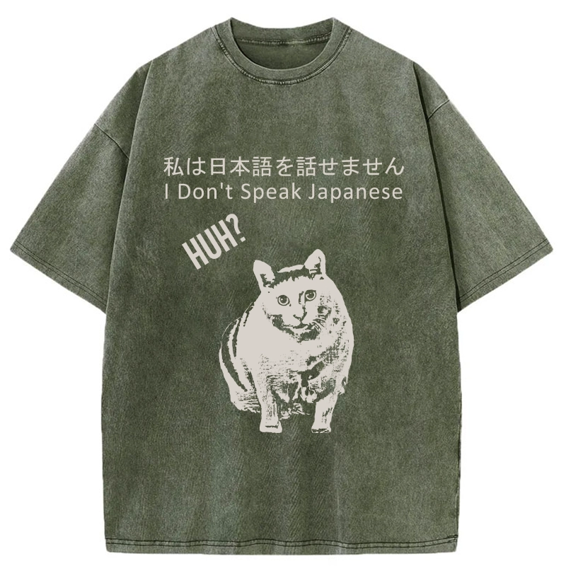 Tokyo-Tiger Cat Doesn't Speak Japanese Washed T-Shirt