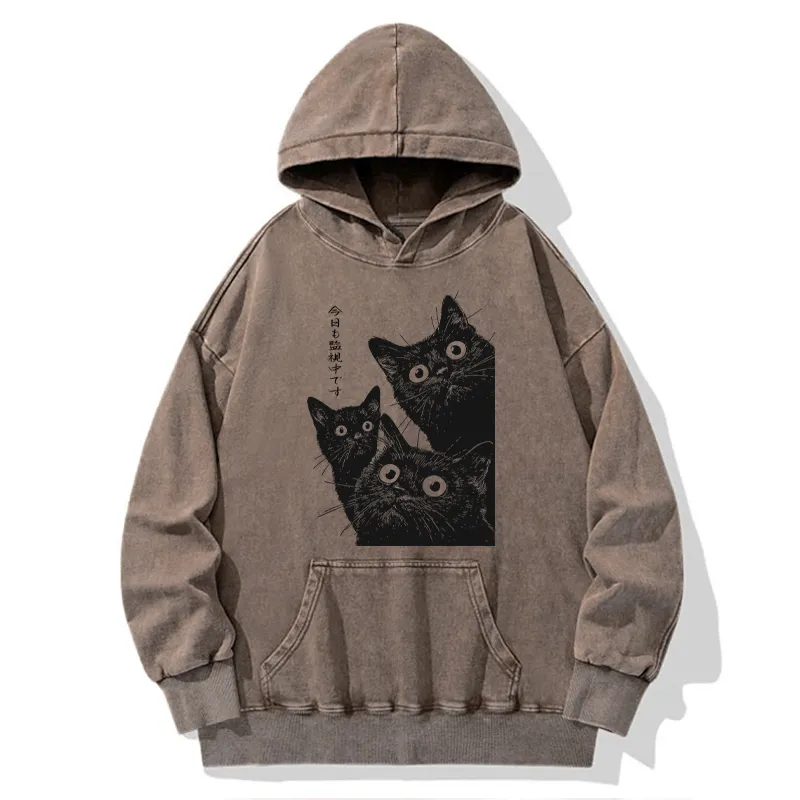 Tokyo-Tiger Three Cats Are Watching You Today Washed Hoodie
