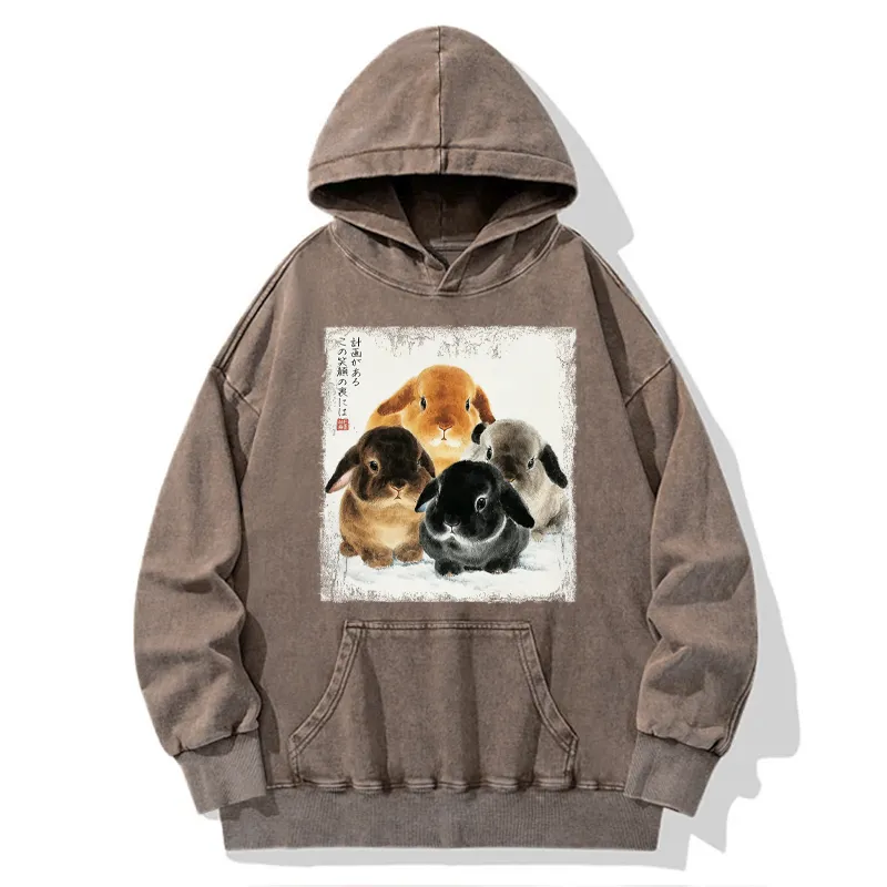 Tokyo-Tiger The Ink Wash Rabbit Is Watching You Washed Hoodie
