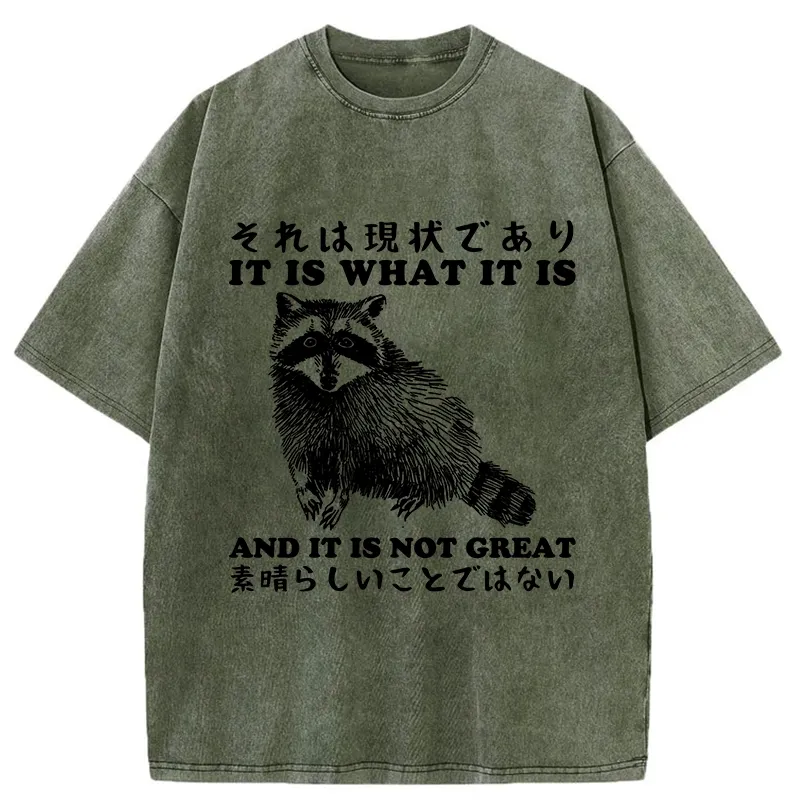 Tokyo-Tiger That Is The Current Situation Washed T-Shirt