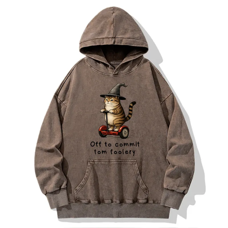 Tokyo-Tiger Orange Cat Riding Segway-style Washed Hoodie