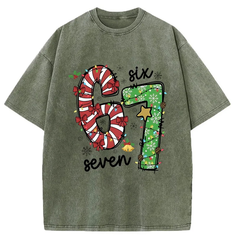Tokyo-Tiger Six And Seven Funny Washed T-Shirt