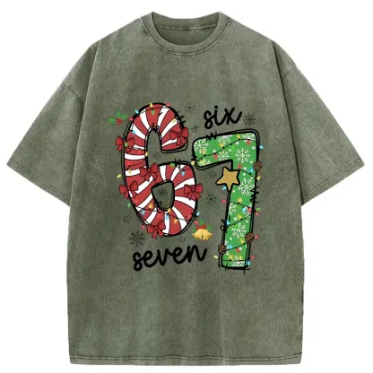 Tokyo-Tiger Six And Seven Funny Washed T-Shirt