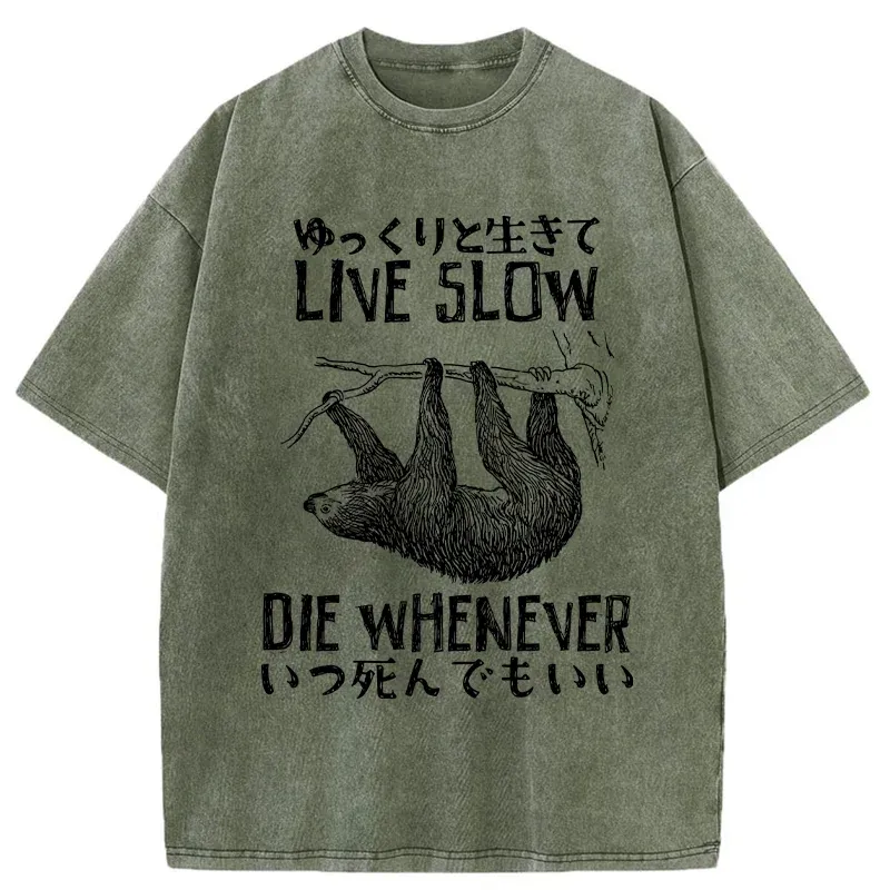 Tokyo-Tiger Slow-living Sloth Washed T-Shirt