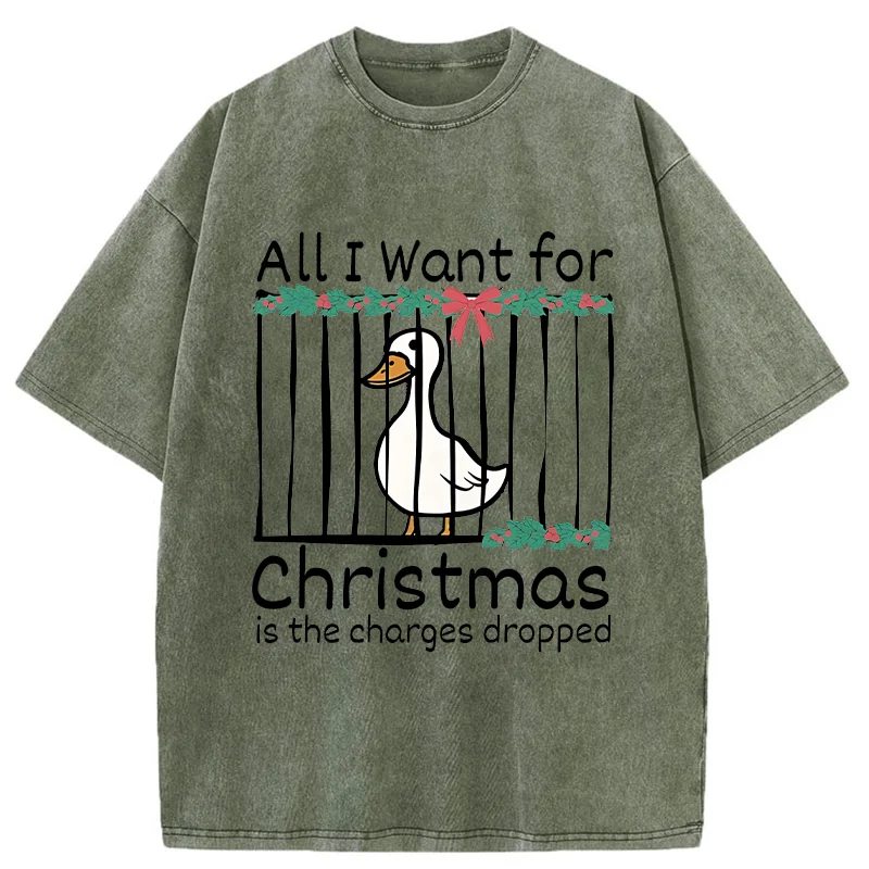 Tokyo-Tiger Christmas Stupid Goose Washed T-Shirt