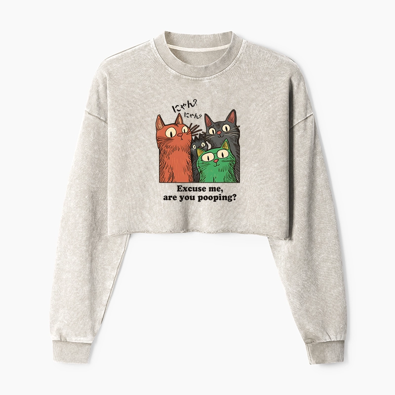 Tokyo-Tiger Cats Watching Poop Washed Crop Sweatshirt