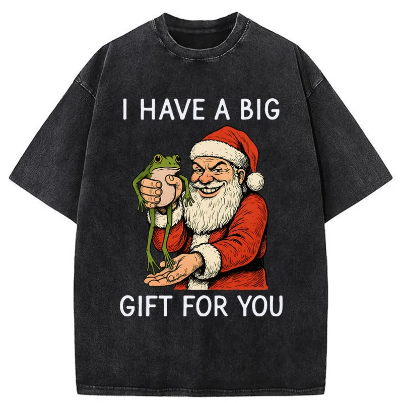 Tokyo-Tiger Santa’s Special Gift Washed T-Shirt