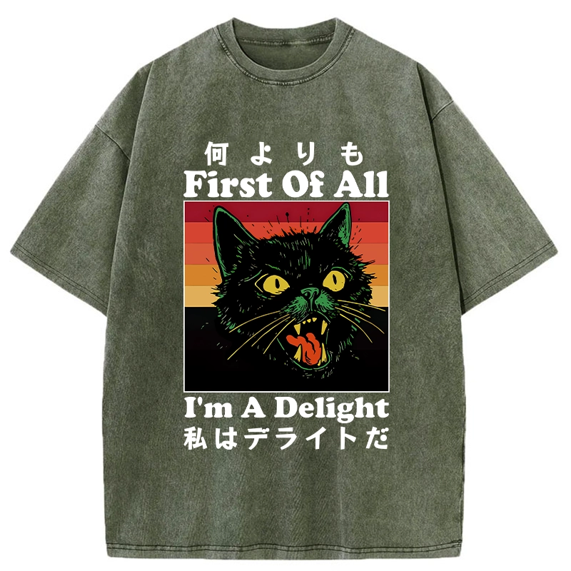 Tokyo-Tiger I'm A Delight Washed T-Shirt