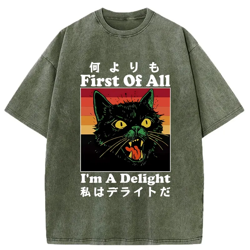 Tokyo-Tiger I'm A Delight Washed T-Shirt