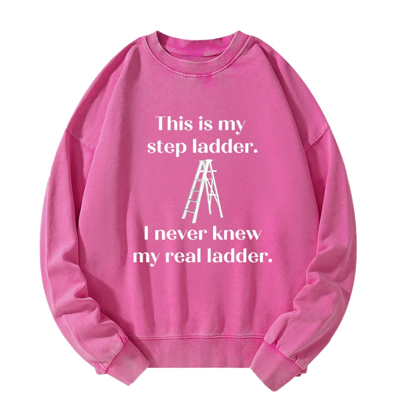 Tokyo-Tiger A Real Ladder Funny Washed Sweatshirt