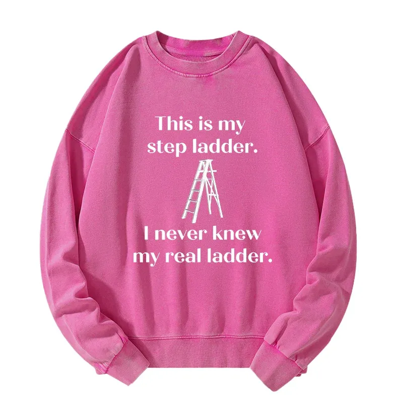Tokyo-Tiger A Real Ladder Funny Washed Sweatshirt