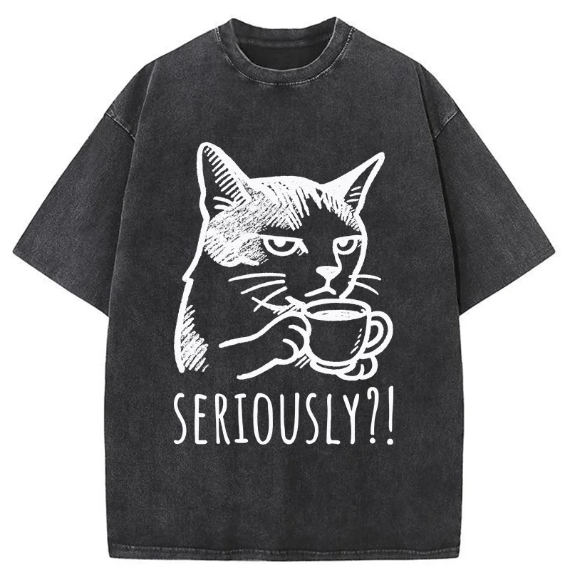 Tokyo-Tiger Cat's Suspicion Washed T-Shirt