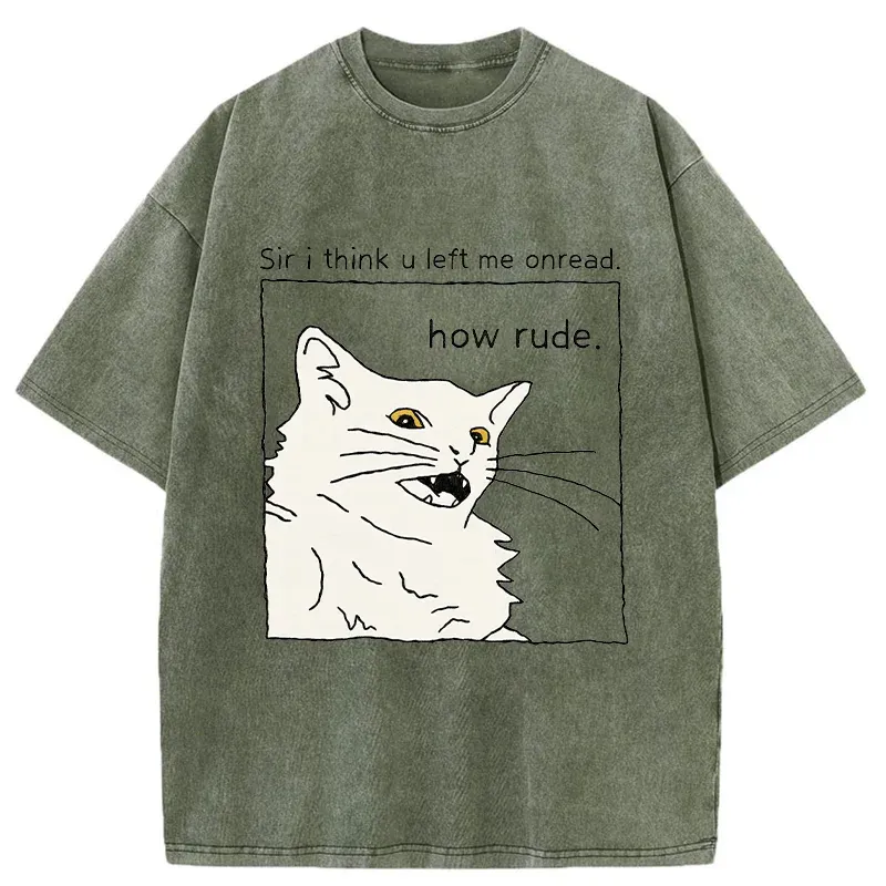 Tokyo-Tiger Cat That Condemn Humans Washed T-Shirt