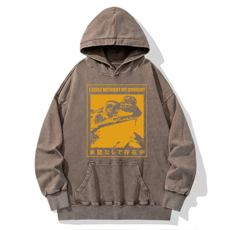 Tokyo-Tiger Unauthorized Existence Washed Hoodie