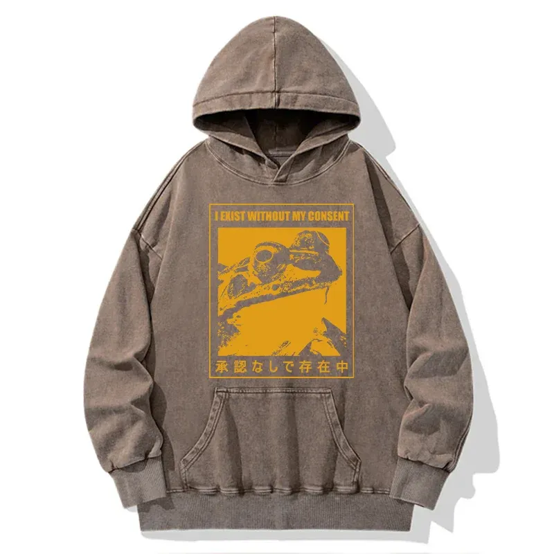 Tokyo-Tiger Unauthorized Existence Washed Hoodie