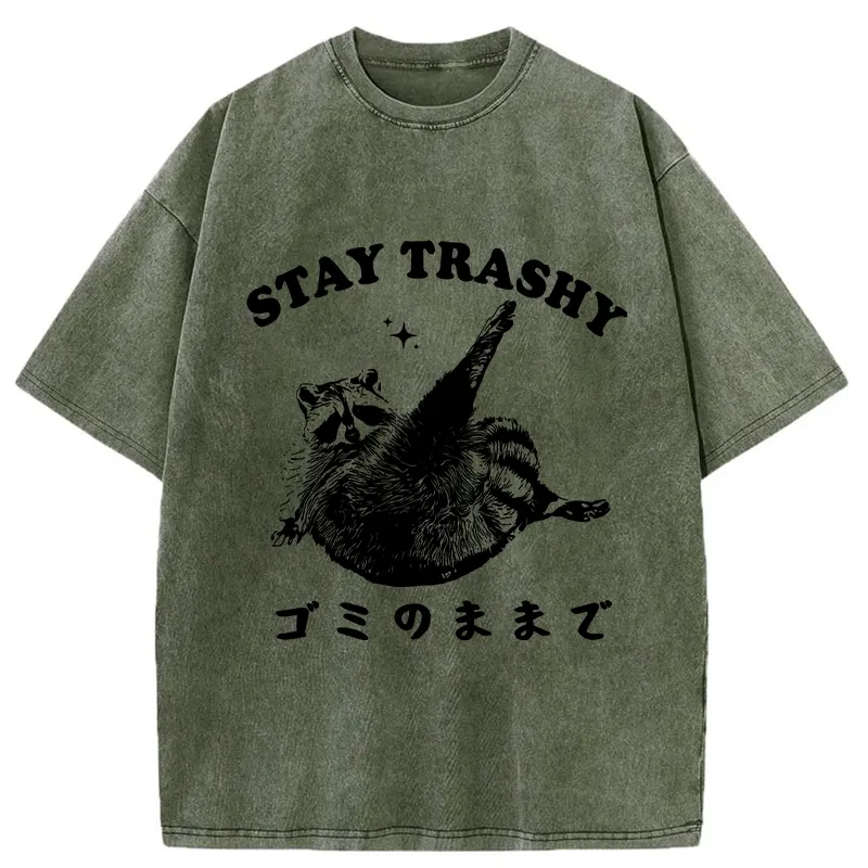 Tokyo-Tiger Raccoon Stay Trashy Washed T-Shirt