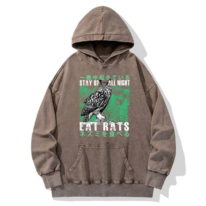 Tokyo-Tiger Owls Prey On Rats At Night Washed Hoodie
