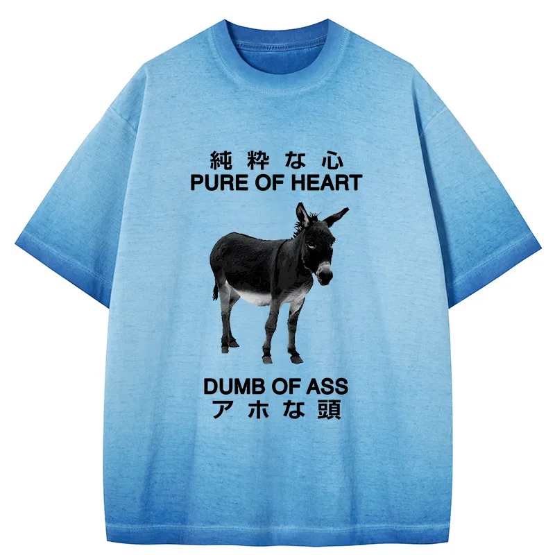 Tokyo-Tiger Pure Of Heart Dumb Of Ass Gradient Washed T-Shirt