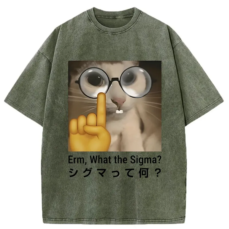 Tokyo-Tiger Erm What The Sigma Washed T-Shirt