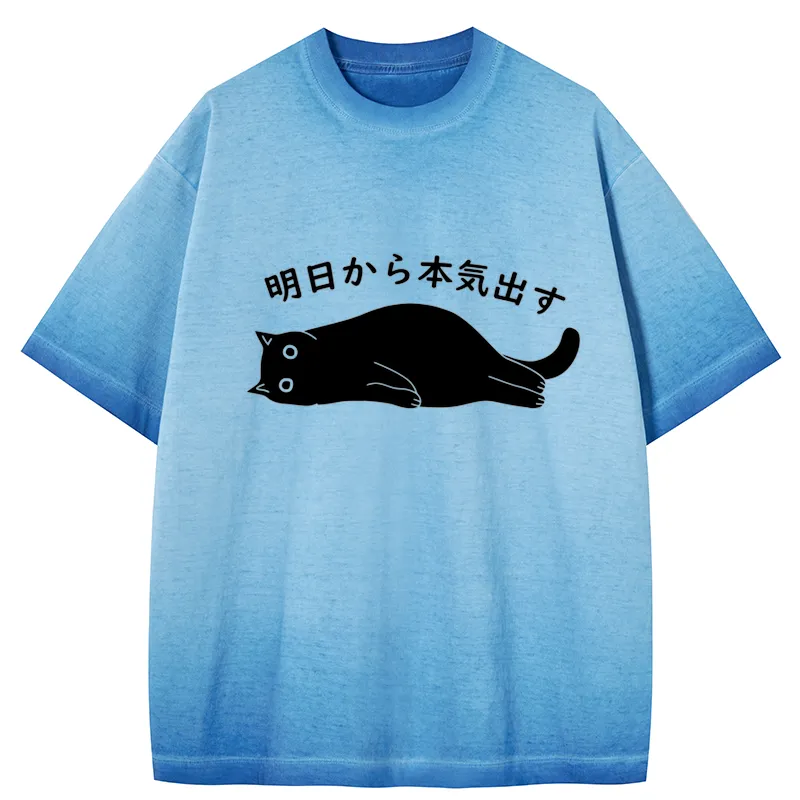 Tokyo-Tiger I'm Going To Get Serious Tomorrow Gradient Washed T-Shirt