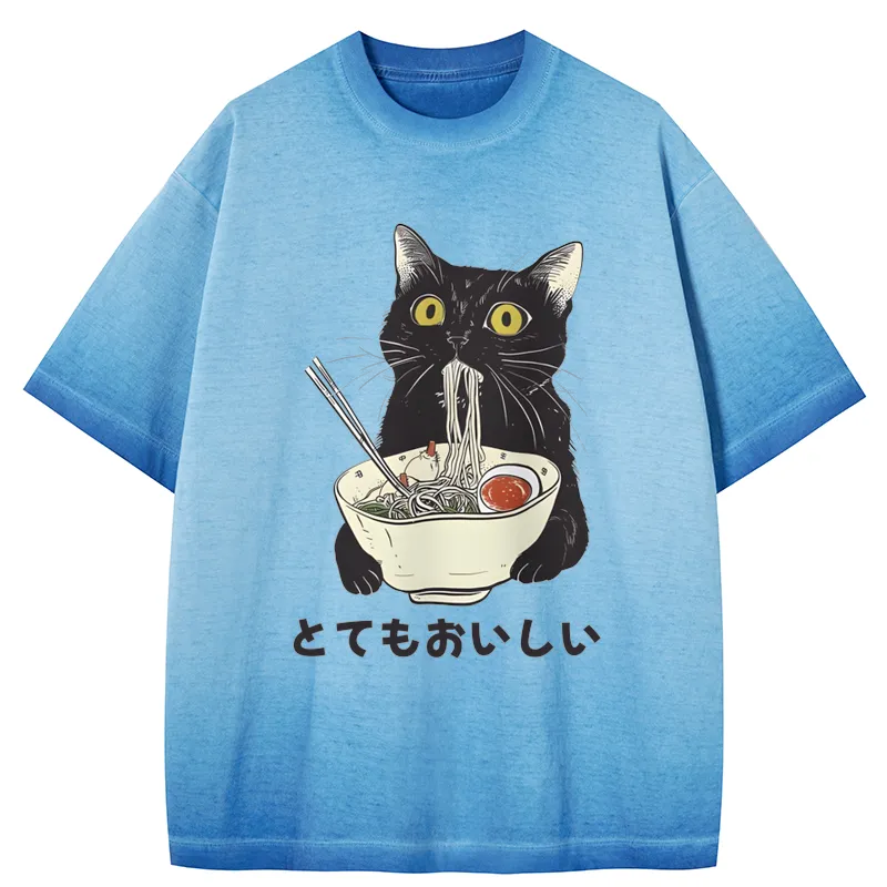 Tokyo-Tiger Cats Eat Ramen Noodles Gradient Washed T-Shirt Sale