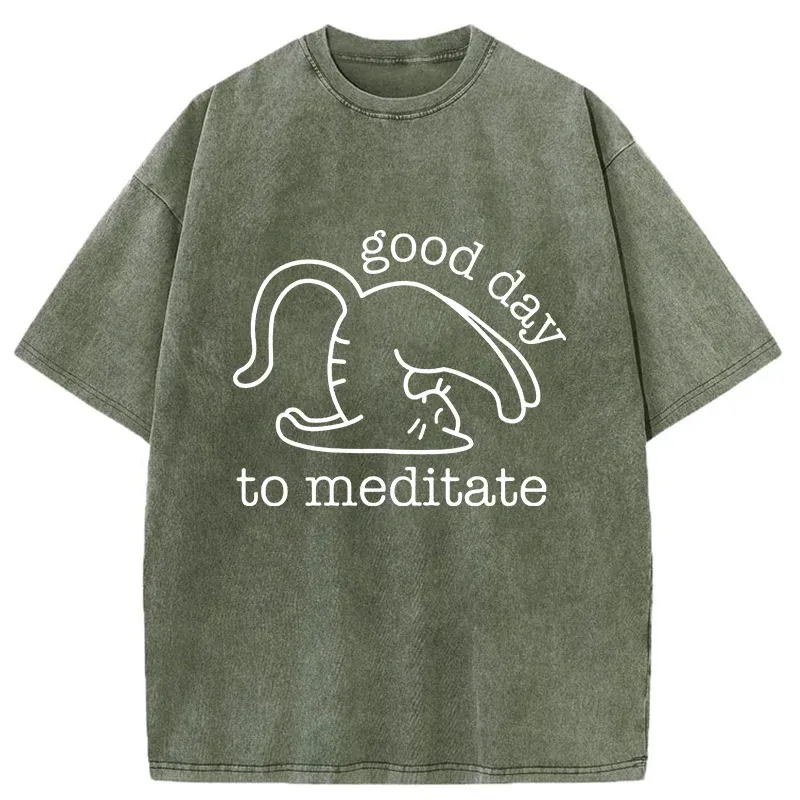 Tokyo-Tiger Cats Doing Yoga Washed T-Shirt
