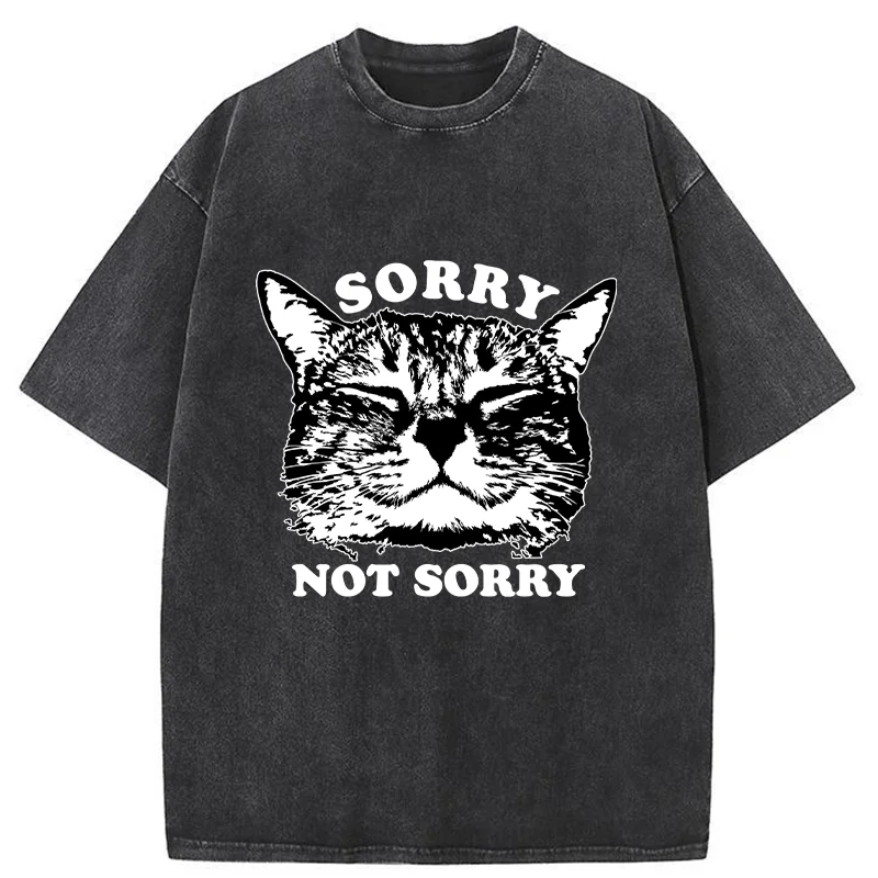 Tokyo-Tiger An Arrogant Apologizer Washed T-Shirt