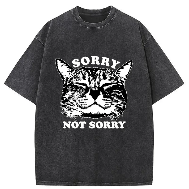 Tokyo-Tiger An Arrogant Apologizer Washed T-Shirt