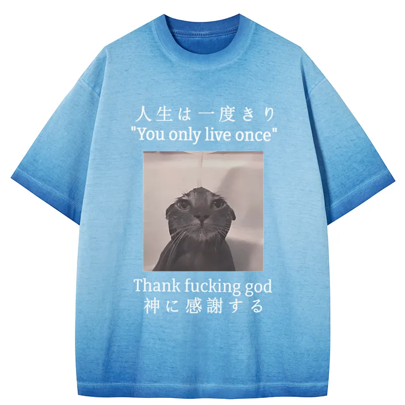 Tokyo-Tiger Funny Melancholy Cat Gradient Washed T-Shirt