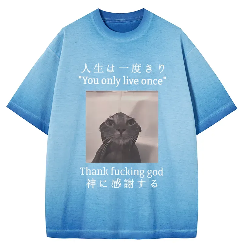 Tokyo-Tiger Funny Melancholy Cat Gradient Washed T-Shirt
