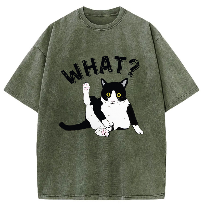 Tokyo-Tiger Cat's Question Washed T-Shirt