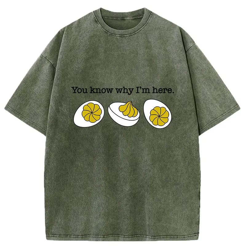 Tokyo-Tiger Deviled-Eggs Funny Washed T-Shirt