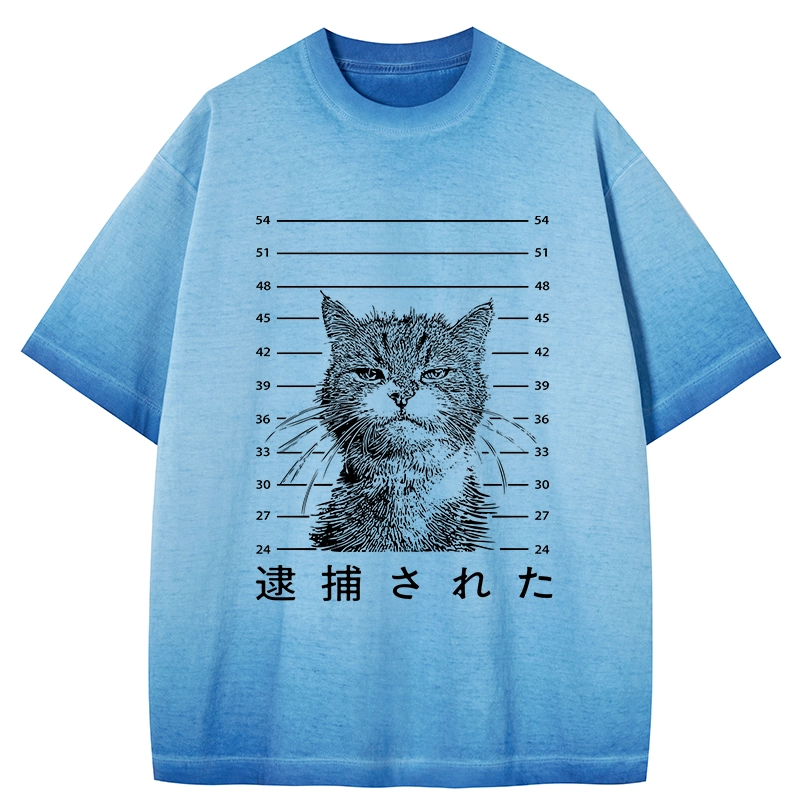 Tokyo-Tiger Cat That Was Arrested Gradient Washed T-Shirt