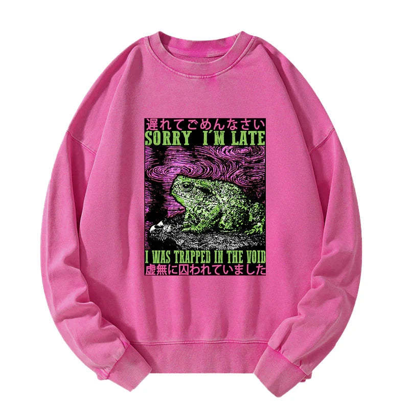 Tokyo-Tiger Frogs Trapped In The Void Washed Sweatshirt