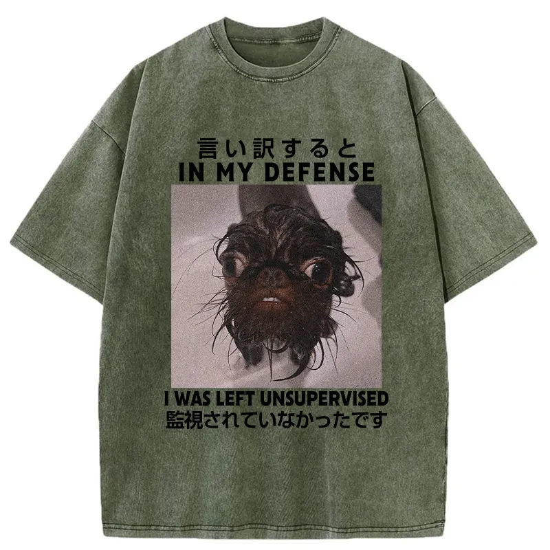 Tokyo-Tiger I Was Left Unsupervised Washed T-Shirt