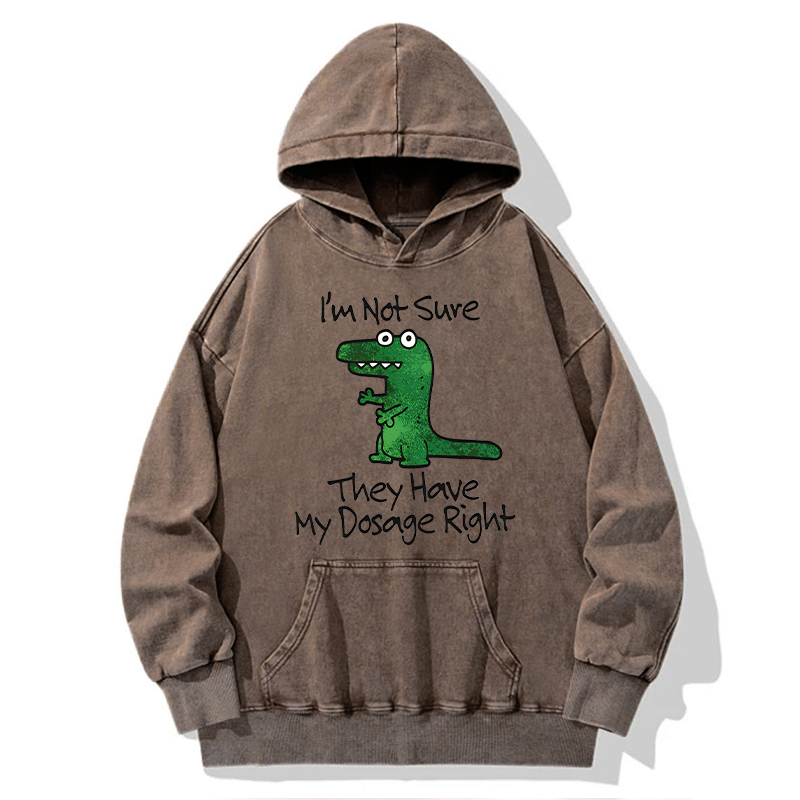 Tokyo-Tiger Dinosaur Meme Sarcastic Ironic Washed Hoodie