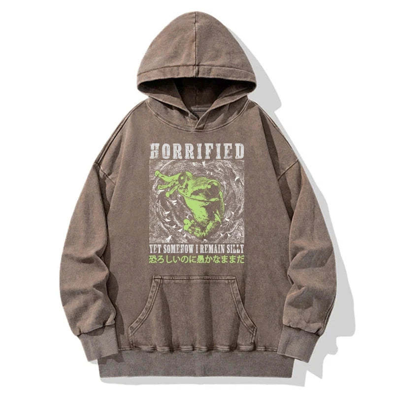 Tokyo-Tiger Silly Frog Japanese Washed Hoodie