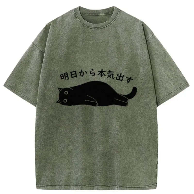 Tokyo-Tiger I'm Going To Get Serious Tomorrow Washed T-Shirt