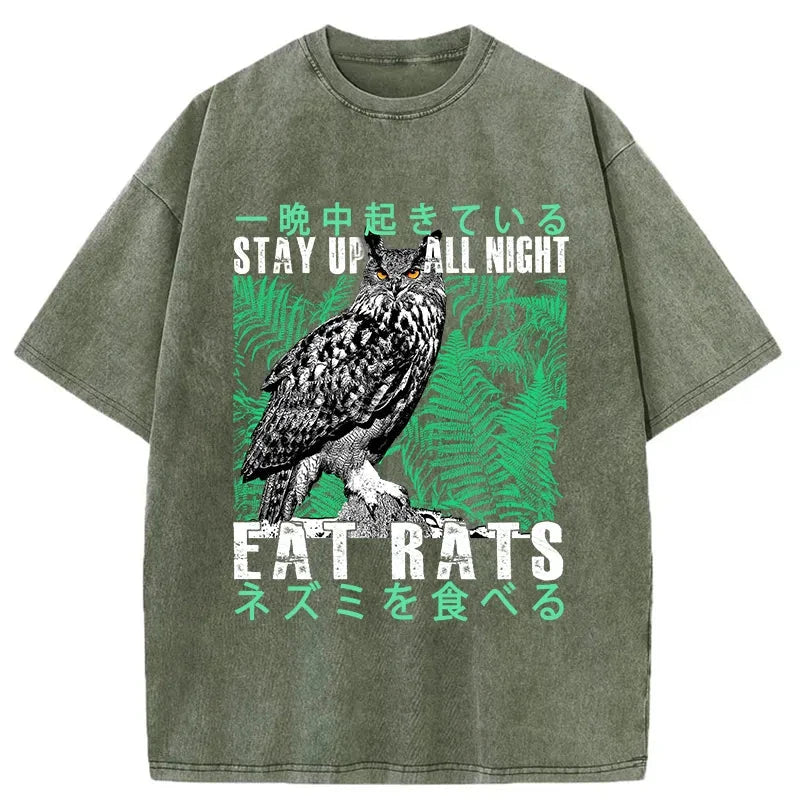 Tokyo-Tiger Owls Prey On Rats At Night Washed T-Shirt