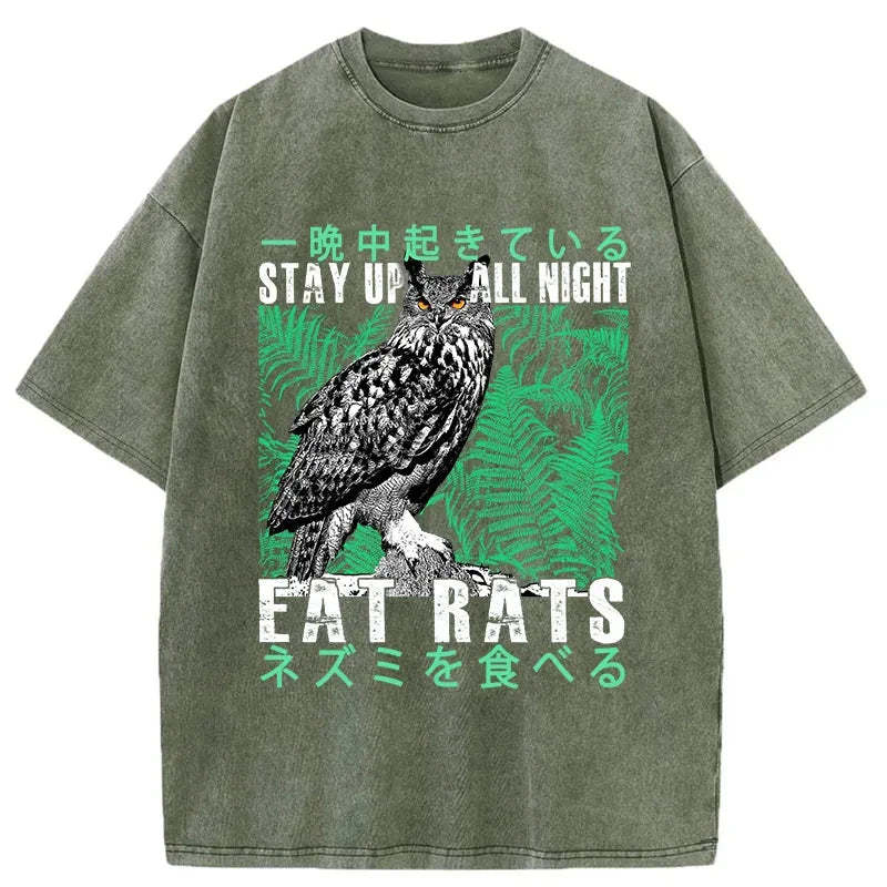 Tokyo-Tiger Owls Prey On Rats At Night Washed T-Shirt Sale