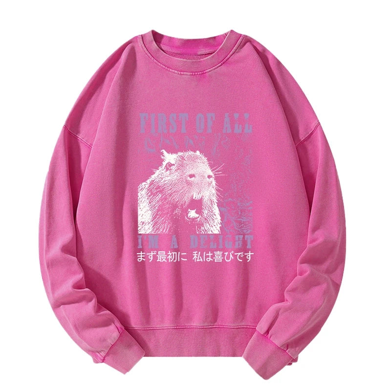 Tokyo-Tiger First Of All I'm A Delight Washed Sweatshirt