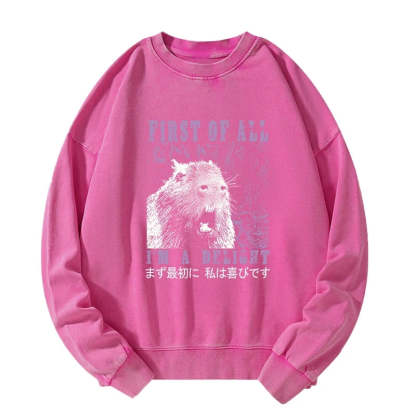 Tokyo-Tiger First Of All I'm A Delight Washed Sweatshirt