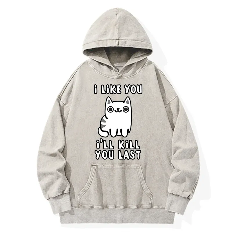 Tokyo-Tiger Cats And Humans Have A Love-hate Relationship Washed Hoodie