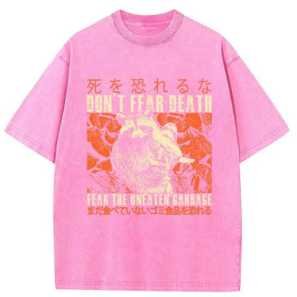 Tokyo-Tiger Timid Raccoon Japanese Washed T-Shirt