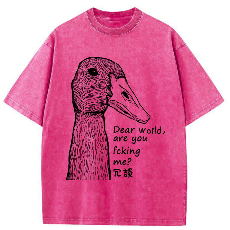 Tokyo-Tiger Joking Duck Washed T-Shirt