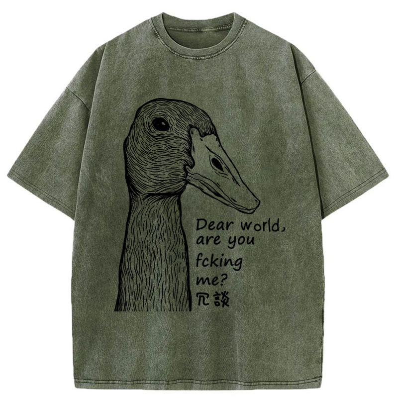 Tokyo-Tiger Joking Duck Washed T-Shirt