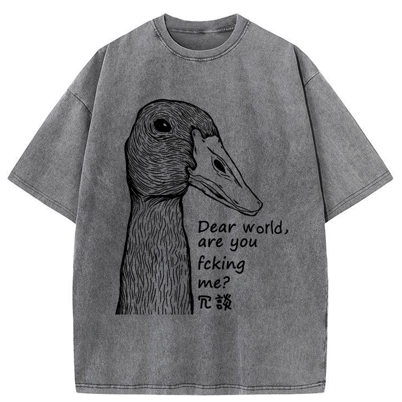 Tokyo-Tiger Joking Duck Washed T-Shirt