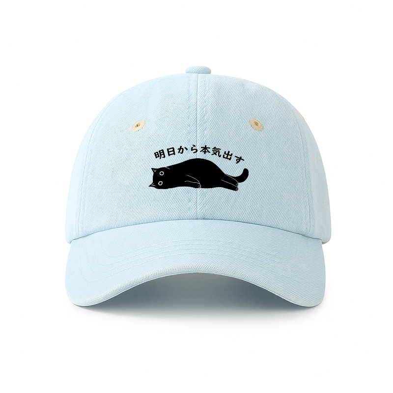 Tokyo-Tiger I'm Going To Get Serious Tomorrow Denim Cap