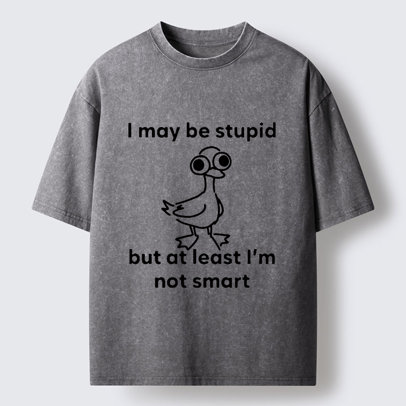 Tokyo‑Tiger Silly Duck Meme Washed T‑Shirt