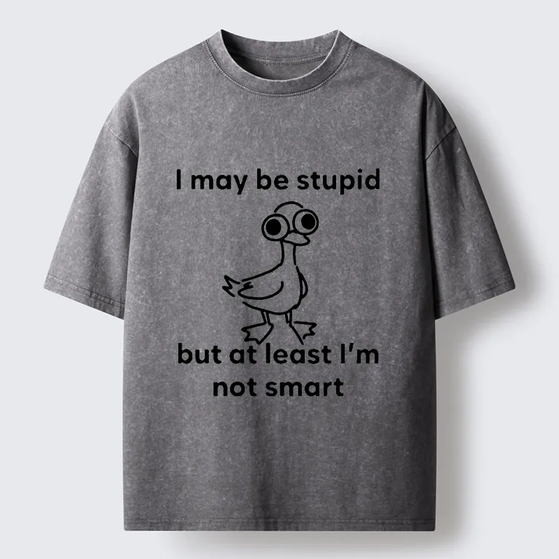 Tokyo‑Tiger Silly Duck Meme Washed T‑Shirt